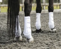 WORLD EQUSTRN BRNDS Horse Boots|Equilibrium Stretch & Flex Training Wraps