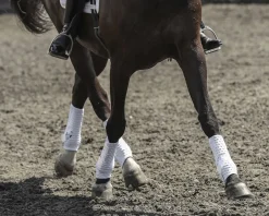 WORLD EQUSTRN BRNDS Horse Boots|Equilibrium Stretch & Flex Training Wraps