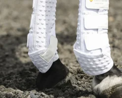 WORLD EQUSTRN BRNDS Horse Boots|Equilibrium Stretch & Flex Training Wraps