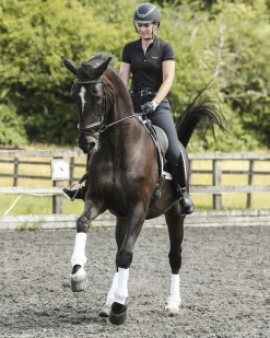 WORLD EQUSTRN BRNDS Horse Boots|Equilibrium Stretch & Flex Training Wraps