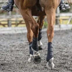 WORLD EQUSTRN BRNDS Horse Boots|Equilibrium Stretch & Flex Flatwork Wraps