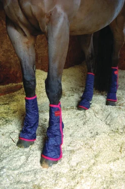 WORLD EQUSTRN BRNDS Therapy|Hoof & Hock Boots|Equilibrium Therapy® Magnetic Chaps