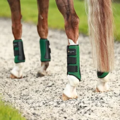 WORLD EQUSTRN BRNDS Horse Boots|Equilibrium Tri-Zone Impact Hind Boots