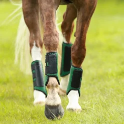 WORLD EQUSTRN BRNDS Horse Boots|Equilibrium Tri-Zone Impact Front Boots