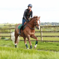 WORLD EQUSTRN BRNDS Horse Boots|Equilibrium Tri-Zone Impact Front Boots