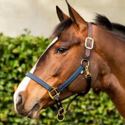 EQUINAVIA Halters|Pegasus Ribbon Breakaway Halter