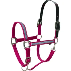 EQUINAVIA Halters|Pegasus Ribbon Breakaway Halter