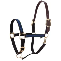 EQUINAVIA Halters|Pegasus Ribbon Breakaway Halter