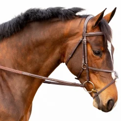 EQUINAVIA English Bridles|Valkyrie Fancy-Stitched Figure-8 Bridle & Reins