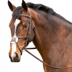 EQUINAVIA English Bridles|Valkyrie Fancy-Stitched Figure-8 Bridle & Reins