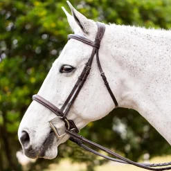 EQUINAVIA English Bridles|Valkyrie Fancy-Stitched Hunter Bridle & Reins