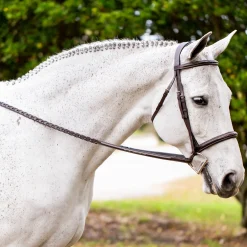EQUINAVIA English Bridles|Valkyrie Fancy-Stitched Hunter Bridle & Reins