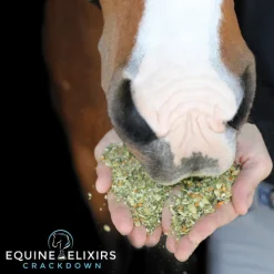 EQUINE ELIXIRS INC Horse Supplements|Equine Elixirs Crackdown®