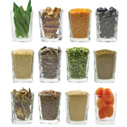 EQUINE ELIXIRS INC Horse Supplements|Equine Elixirs Immunox®