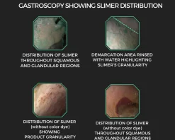 EQUINE ELIXIRS INC Horse Supplements|Equine Elixirs Slimer Liquid Gastric Support