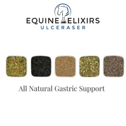 EQUINE ELIXIRS INC Horse Supplements|Equine Elixirs Ulceraser®
