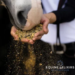 EQUINE ELIXIRS INC Horse Supplements|Equine Elixirs Ulceraser®