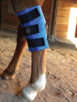 EZ ICE Therapy|Hoof & Hock Boots|Hock Wrap