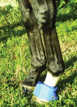 EZ ICE Therapy|Hoof & Hock Boots|Hoof - Founder Pack