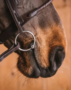 ELITE EQUESTRIAN SUP English Horse Bits|Fager Emil Titanium Loose Ring Bit, 16mm Mouth
