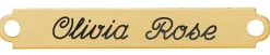 DOVER DROPSHIP Nameplates|Fancy Martingale Nameplate