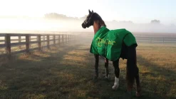 FARRIERS FIX Hoof Topicals|Farriers' Fix