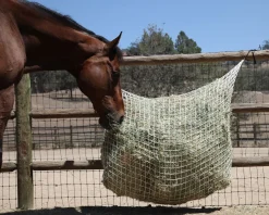 KENSINGTON Stable Hardware|Freedom Feeder Extended Day Net