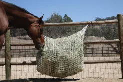 KENSINGTON Stable Hardware|Freedom Feeder® Extended Day Net - 1"