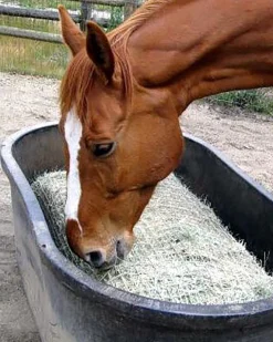 KENSINGTON Stable Hardware|Freedom Feeder Full Bale Net