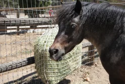 KENSINGTON Trailering|Stable Hardware|Freedom Feeder® Trailer Size