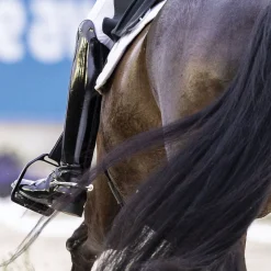 FREEJUMP Stirrup Irons|Air Pure Fillis Stirrup