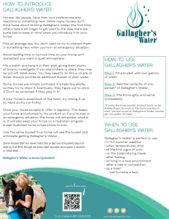 EQUESTRIBEV Horse Supplements|Gallagher’s Water™ All-Natural Equine Hydration Beverage, 12 Sachets