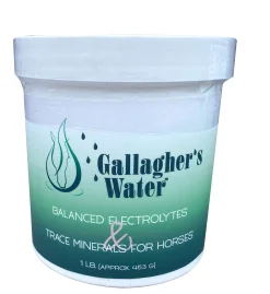 EQUESTRIBEV Horse Supplements|Gallagher’s Water™ Balanced Electrolytes & Trace Minerals