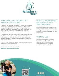 EQUESTRIBEV Horse Supplements|Gallagher’s Water™ Balanced Electrolytes & Trace Minerals