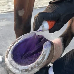 RJ MATTHEWS Hoof Topicals|Groom’s Hand Thrush Solution®