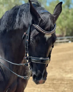 HALTER EGO English Bridles|Aurelia Rose Gold Black Patent Double Bridle