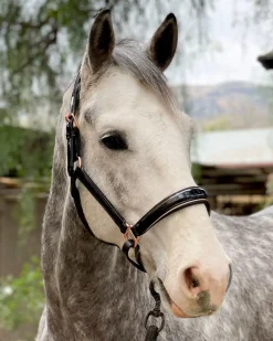 HALTER EGO Halters|Aurelia Rose Gold Halter