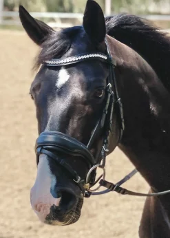 HALTER EGO English Bridles|Brixton Snaffle Bridle