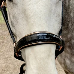 HALTER EGO Halters|® Catalonia Halter