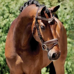 HALTER EGO English Bridles|® Catalonia Snaffle Bridle