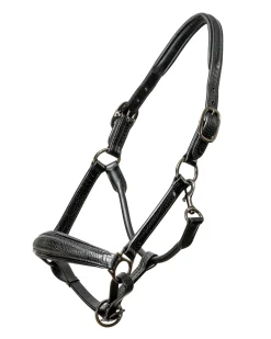 HALTER EGO Halters|® Doc Marten Padded Halter