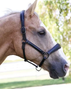 HALTER EGO Halters|® Doc Marten Padded Halter