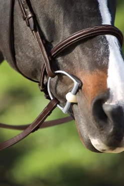 ERS English Horse Bits|Happy Mouth Bits® Jointed King Hunter D-Ring Pro Bit