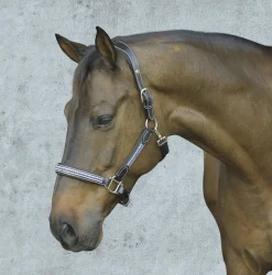 JPC EQUESTRIAN Halters|HDR Padded Jewel Halter