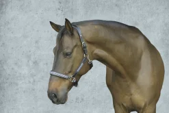 JPC EQUESTRIAN Halters|HDR Padded Jewel Halter