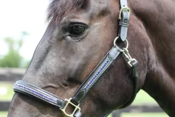 JPC EQUESTRIAN Halters|HDR Padded Jewel Halter