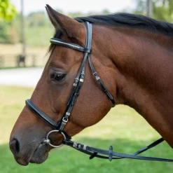 JPC EQUESTRIAN English Bridles|Henri de Rivel Clincher Bridle