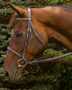 JPC EQUESTRIAN English Bridles|Henri de Rivel Fancy Raised Padded Bridle with Laced Reins