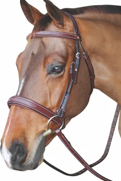 JPC EQUESTRIAN English Bridles|Henri de Rivel Mono Crown Bridle with Padded Wide Noseband