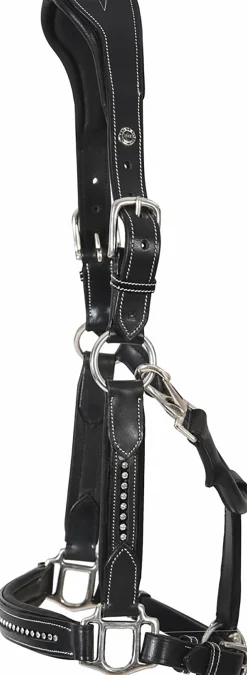 JPC EQUESTRIAN Halters|Henri de Rivel Padded Leather Crystal Halter